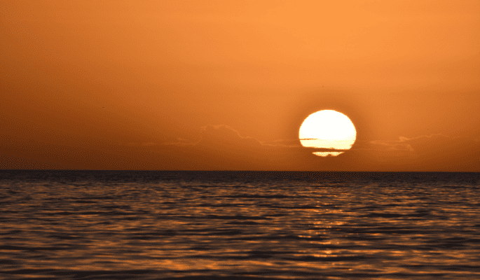 太陽星